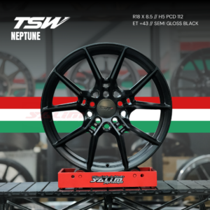 VELG TSW NEPTUNE