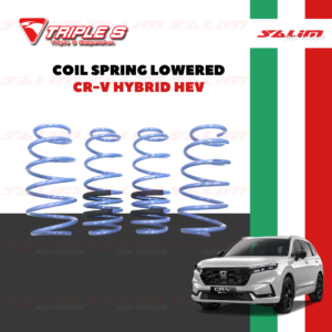 COIL SPRING LOWERED - TRIPLE S TAIWAN SUSPENSION